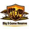 Big 5 safari icon